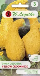 dynia-zwyczajna-ozdobna-yellow-croockneck-zlotozolte-1g