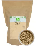 soja-ziarno-1-kg-bez-gmo