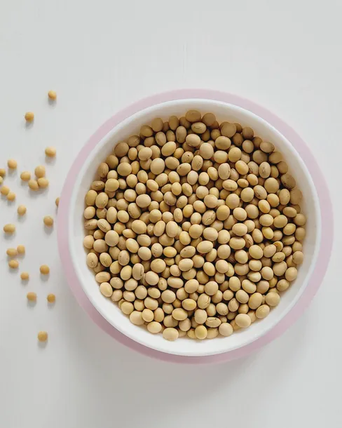 soja-ziarno-1-kg-bez-gmo