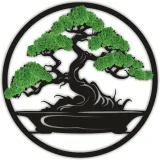 drzewko-szczescia-misa-bonsai-stan-nowy