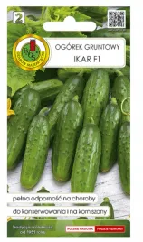 ogorek-gruntowy-ikar-f1-2g-nswpd115