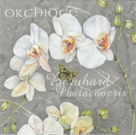 serwetka-nv-74467-orchidea-1-szt