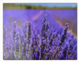 szklana-deska-do-krojenia-podkladka-kuchenna-40x30-0993