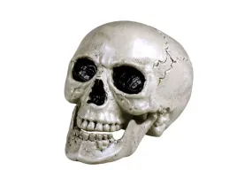 czaszka-na-halloween-z-ruchoma-szczeka-20-cm-1-szt