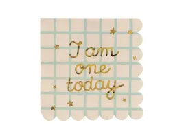 serwetki-papierowe-i-am-one-today-na-roczek-mis-33-cm-12-szt