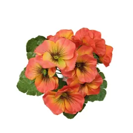 bukiecik-bratek-pomaranczowy