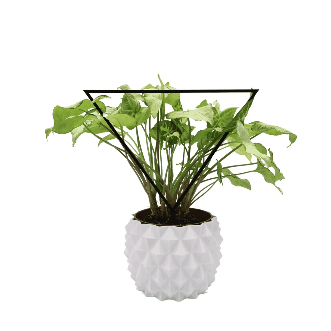 podporka-do-roslin-trojkat