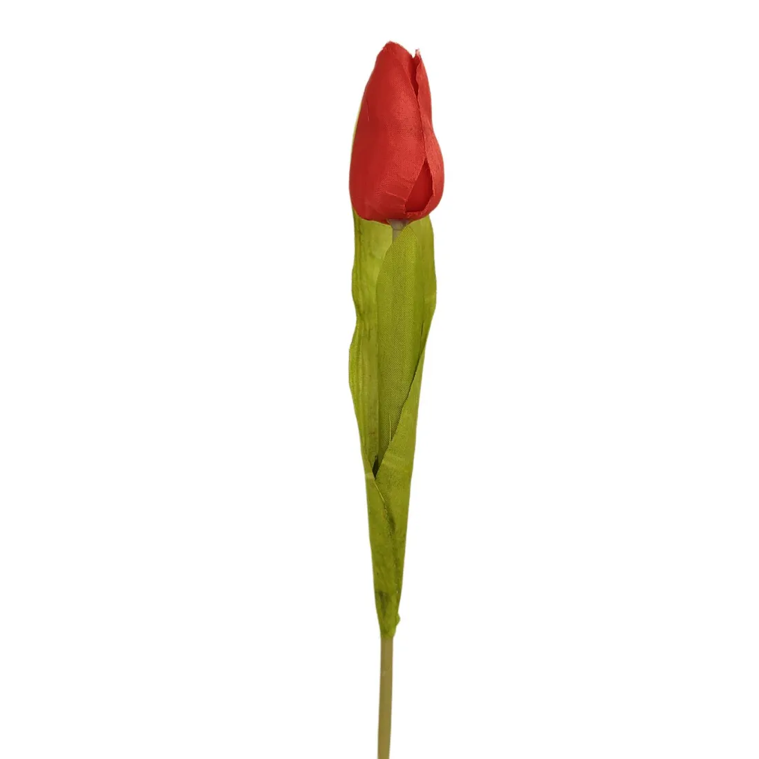 tulipan-pojedynczy-m561-5-czerwony-stan-nowy