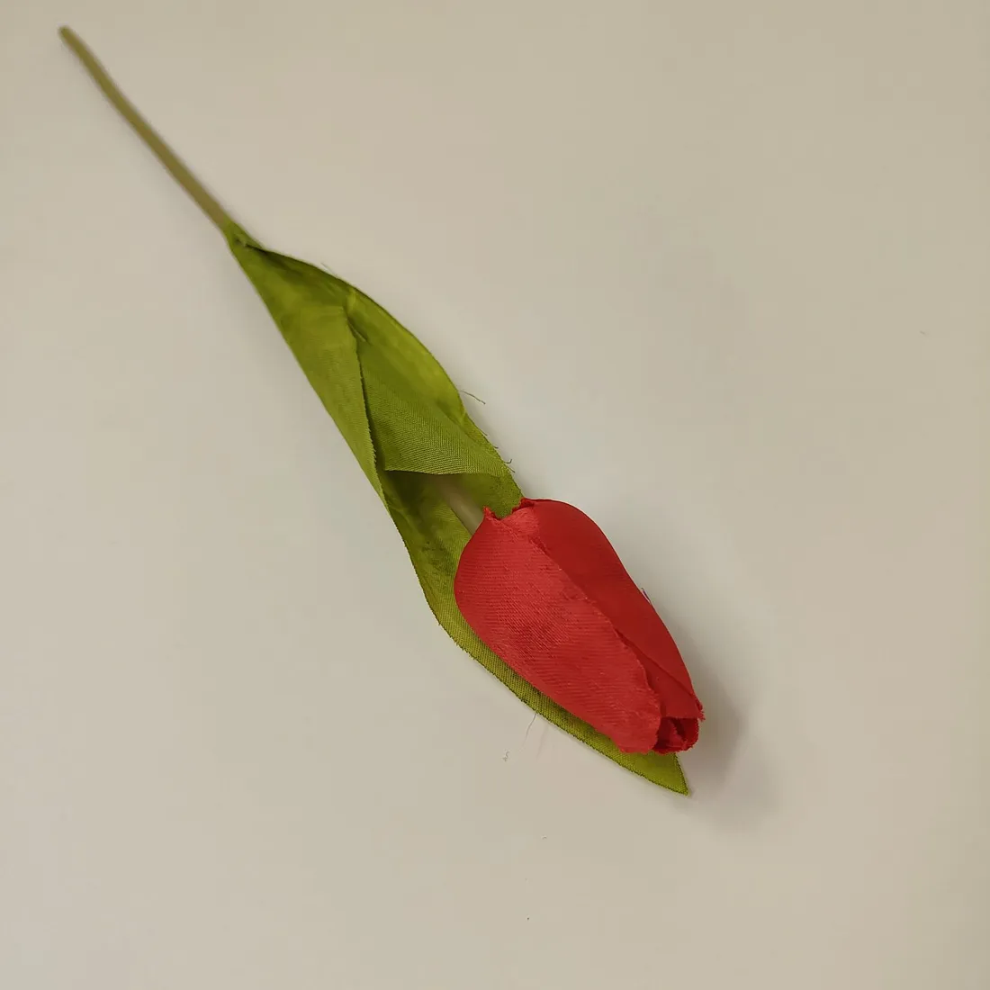 tulipan-pojedynczy-m561-5-czerwony-stan-nowy
