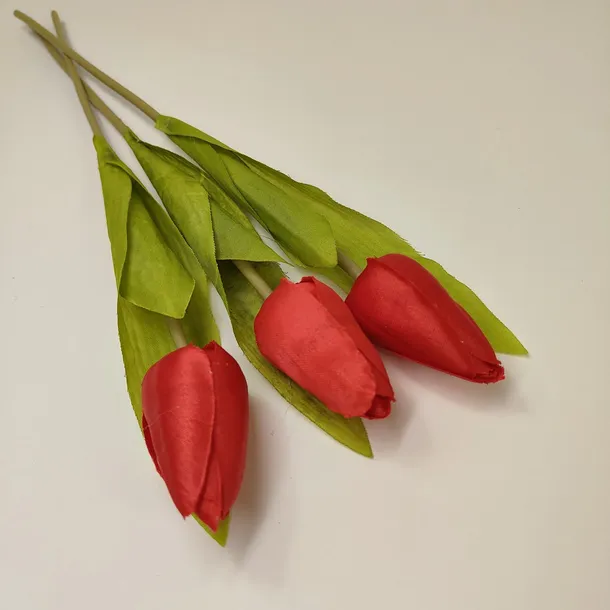 tulipan-pojedynczy-m561-5-czerwony-kod-producenta-hortens