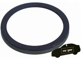 pierscien-abs-tyl-citroen-c4-ii-1-4-2-0-09-16-i-1-4-2-0-04-11-zapach