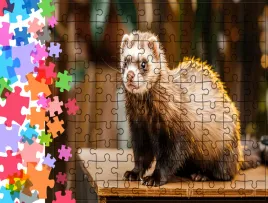 puzzle-tradycyjne-zwierzeta-fretka-producent