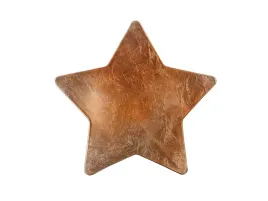 talerzyk-gwiazda-24-cm-1-szt
