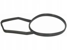 uszczelka-termostatu-bmw-z4-e85-x5-e53-x3-e83