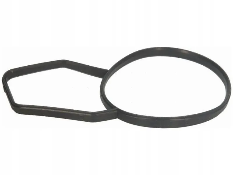 uszczelka-termostatu-bmw-z4-e85-x5-e53-x3-e83
