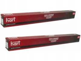 amortyzatory-tyl-hart-806-609