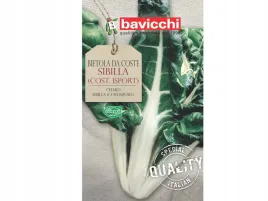 burak-lisciowy-sibilla-zielony-nasiona-bavicchi