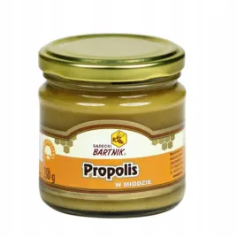 sadecki-bartnik-miod-z-propolisem-dzialanie-przeciwzapalne-250-g