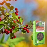 owoc-glogu-bio-100g-dary-natury-kraj-pochodzenia-polska