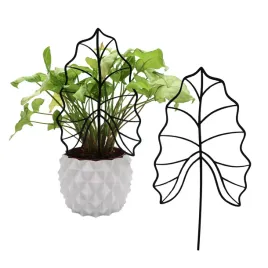 podporka-do-roslin-lisc-alocasia