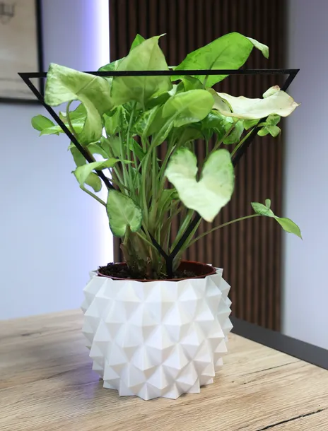 podporka-do-roslin-trojkat-rodzaj-drabinka