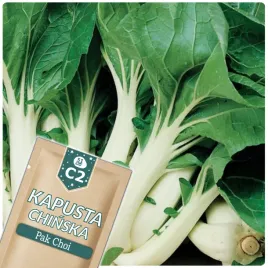 51seed-c2-kapusta-chinska-pak-choi-szybki-zbior-nasiona-warzyw-1g
