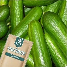 51seed-c3-ogorek-gruntowy-salatkowy-delicius-nasiona-warzyw-5g