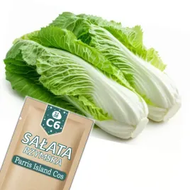 51seed-c6-salata-rzymska-parris-island-cos-chrupiaca-nasiona-warzyw-1g