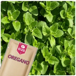 51seed-d20-oregano-lebiodka-roslina-wieloletnia-ziola-nasiona-ziol-05g