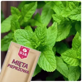 51seed-d18-mieta-pieprzowa-roslina-wieloletnia-ziola-nasiona-ziol-01g
