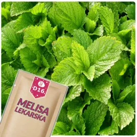 51seed-d16-melisa-lekarska-roslina-wieloletnia-ziola-nasiona-ziol-05g