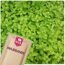 51seed-d15-majeranek-przyprawa-ulatwia-trawienie-ziola-nasiona-ziol-1g