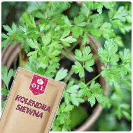 51seed-d11-kolendra-siewna-stosowana-jako-przyprawa-ziola-nasiona-ziol-2g
