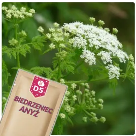 51seed-d5-biedrzeniec-anyz-idealny-dodatek-do-ciast-ziola-nasiona-ziol-1g