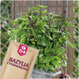 51seed-d4-bazylia-cynamonowa-do-calorocznej-uprawy-ziola-nasiona-ziol-05g