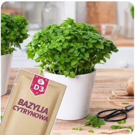 51seed-d3-bazylia-cytrynowa-do-calorocznej-uprawy-ziola-nasiona-ziol-05g