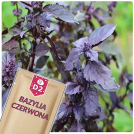 51seed-d2-bazylia-czerwona-do-calorocznej-uprawy-ziola-nasiona-ziol-05g