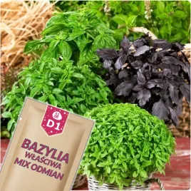 51seed-d1-bazylia-wlasciwa-mix-odmian-zielonych-ziola-nasiona-ziol-1g