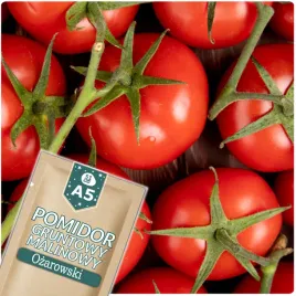 51seed-a5-pomidor-gruntowy-malinowy-ozarowski-wczesny-nasiona-warzyw-05g
