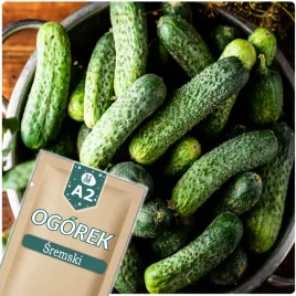 51seed-a2-ogorek-gruntowy-sremski-f1-wczesny-do-kwaszenia-nasiona-warzyw-5g