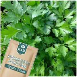 51seed-b13-pietruszka-naciowa-gigante-ditalia-plenna-nasiona-warzyw-2g
