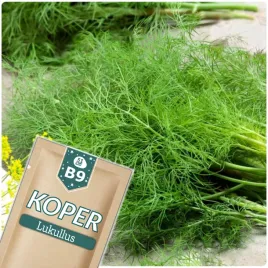 51seed-b9-koper-ogrodowy-lukullus-wczesna-odmiana-nasiona-warzyw-5g