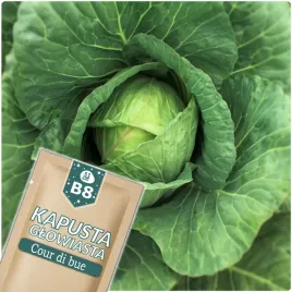 51seed-b8-kapusta-glowiasta-biala-stozkowa-cour-di-bue-nasiona-warzyw-1g