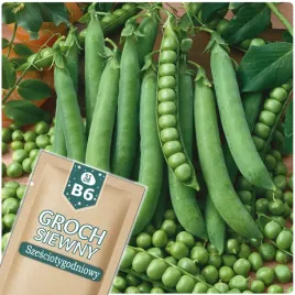 51seed-b6-groch-siewny-luskowy-szesciotygodniowy-wczesny-nasiona-warzyw-50g