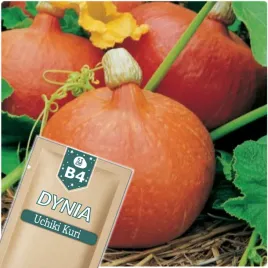 51seed-b4-dynia-olbrzymia-uchiki-kuri-hokkaido-nasiona-warzyw-5g