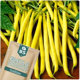 51seed-b5-fasola-szparagowa-karlowa-goldtime-zolta-nasiona-warzyw-40g