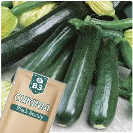 51seed-b3-dynia-zwyczajna-cukinia-black-beauty-wczesna-nasiona-warzyw-5g