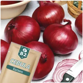 51seed-b2-cebula-karmen-odmiana-srednio-wczesna-pikantna-nasiona-warzyw-3g