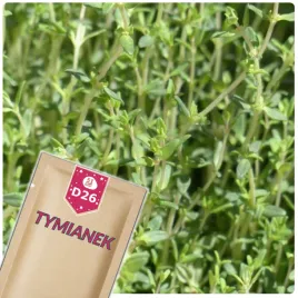 51seed-d26-tymianek-wlasciwy-roslina-wieloletnia-ziola-nasiona-ziol-03g