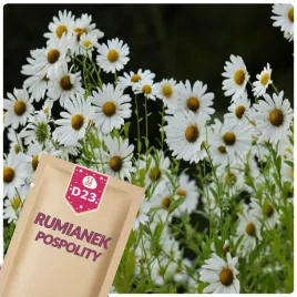 51seed-d23-rumianek-pospolity-lecznicza-roslina-ziola-nasiona-ziol-05g